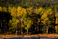 Gunnison, Colorado - September 2018