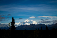 Denali National Park