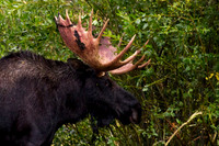 RMNP Fall 2022